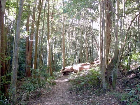 Macquarie Pass National Park