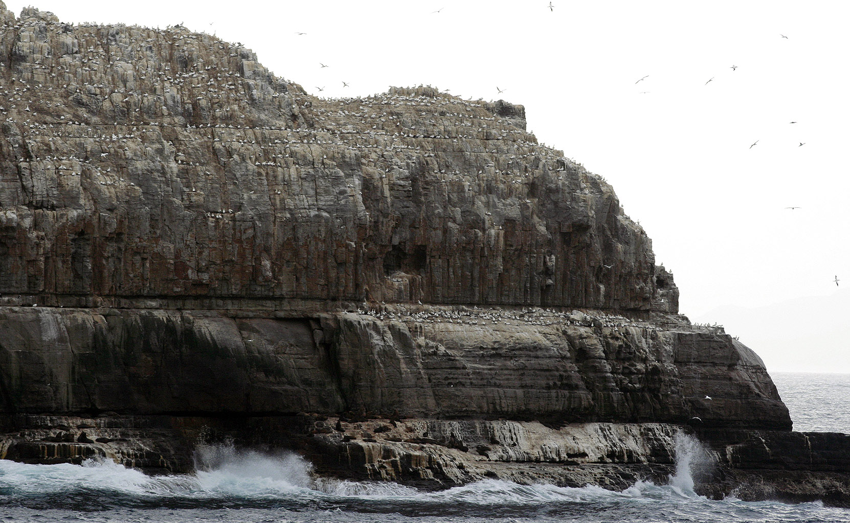 Pedra Branca