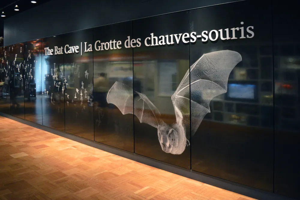 ROM Bat Cave