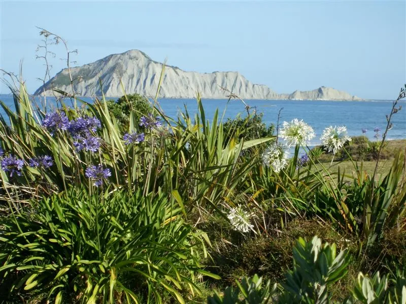 Te Motu-o-Kura / Bare Island