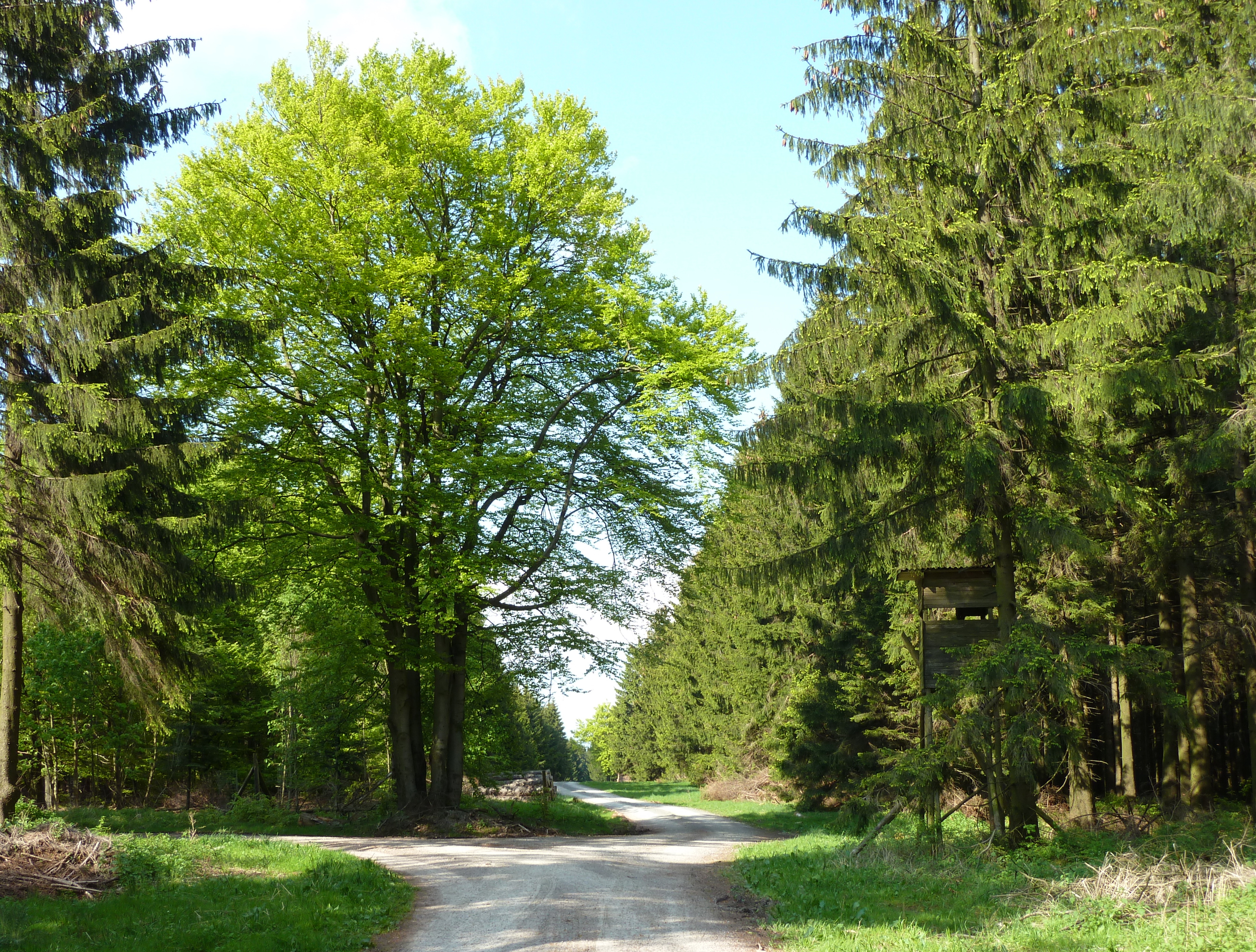 Großer Ahrensberg