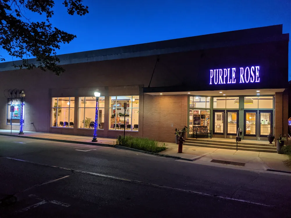 Purple Rose Theatre Company