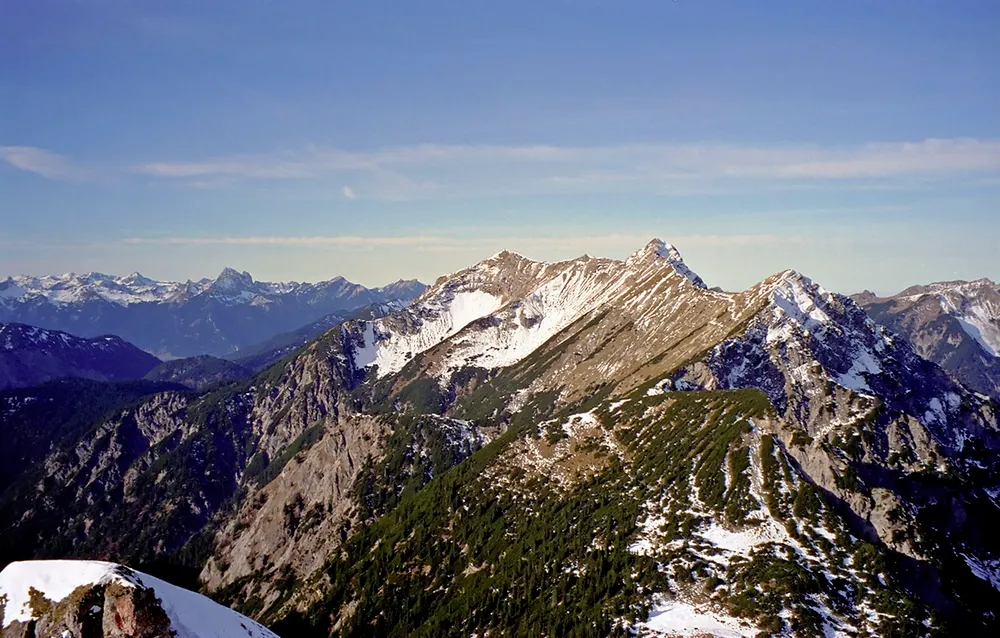 Geierköpfe