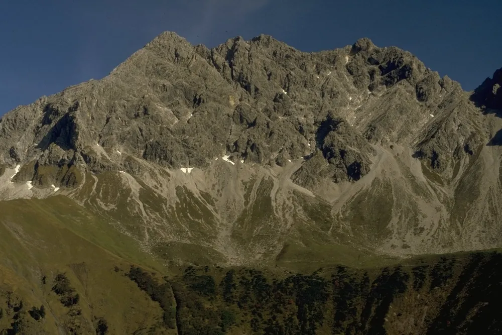 Großer Wilder