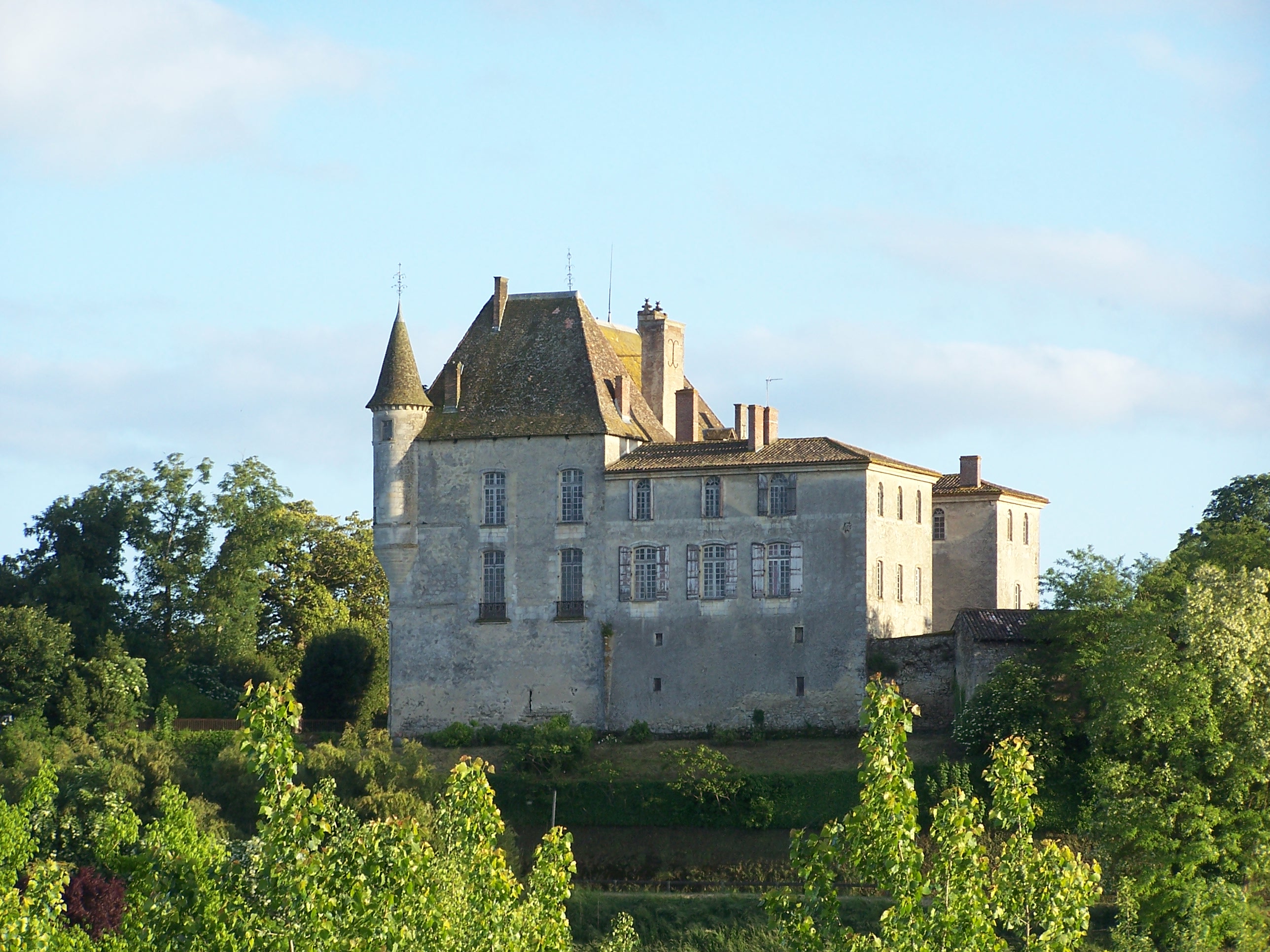 Château du Hamel
