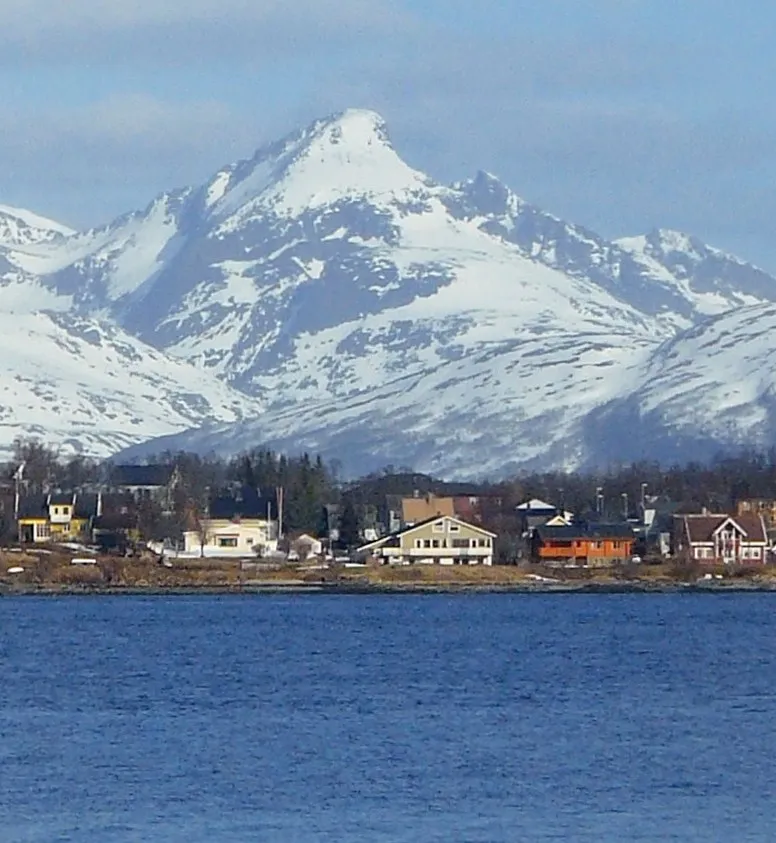 Store Blåmann