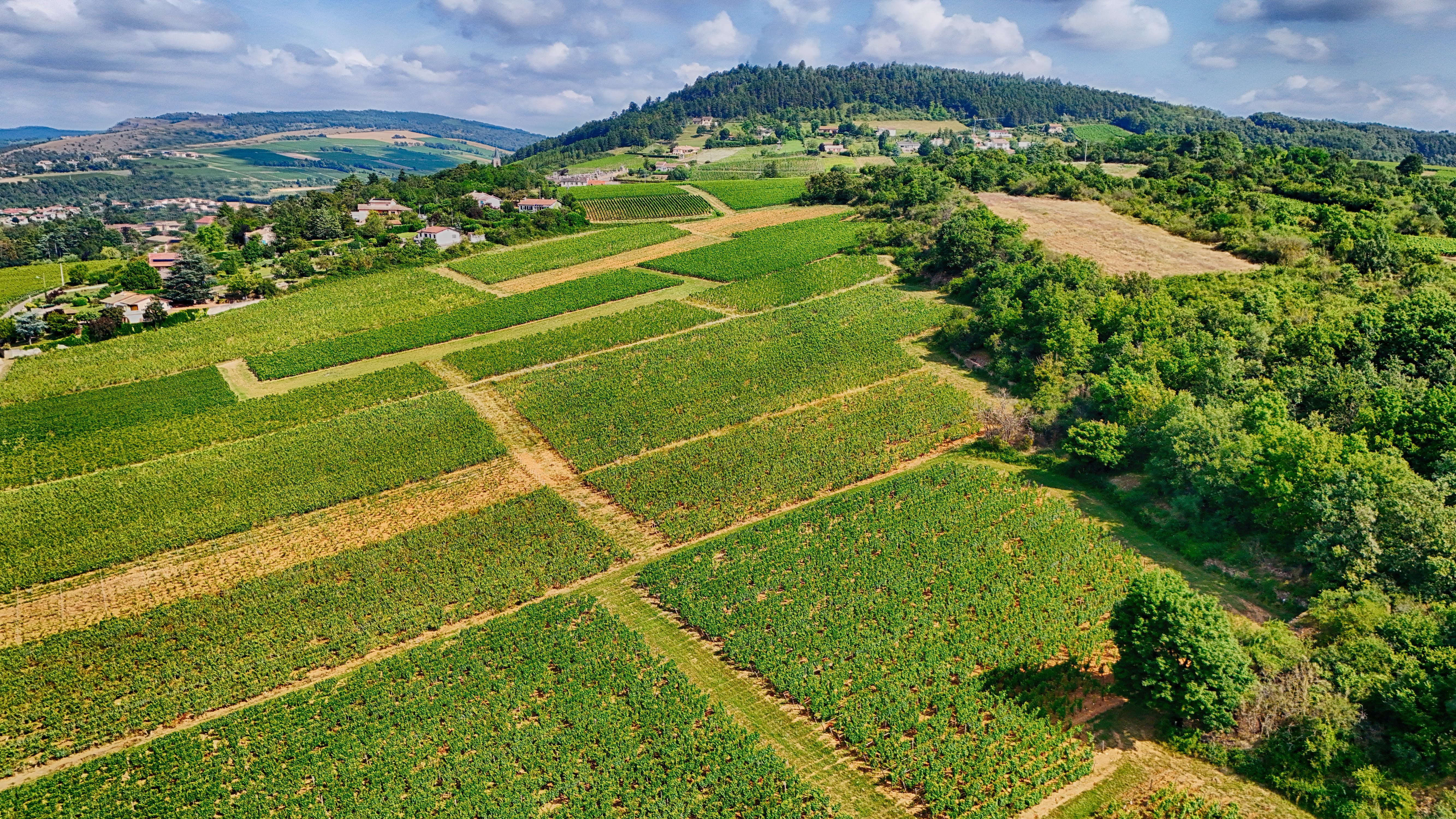 Climats, terroirs of Burgundy