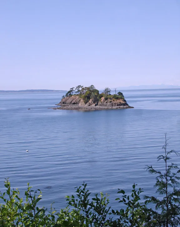 Freeman Island