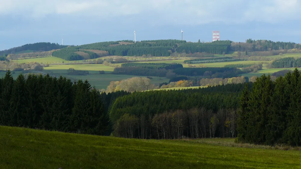 Salzburger Kopf
