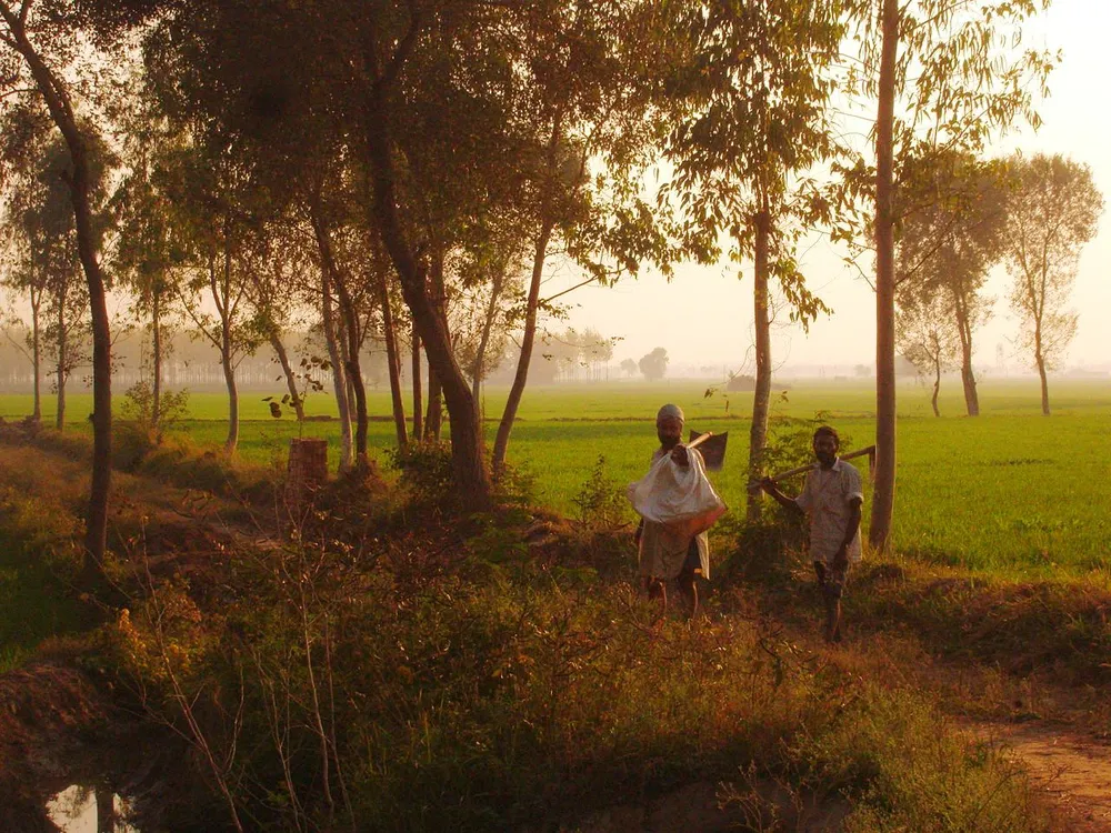 Kotkapura, India