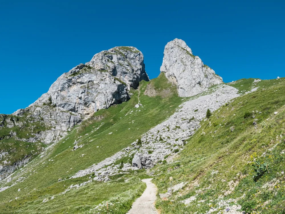 Les Jumelles