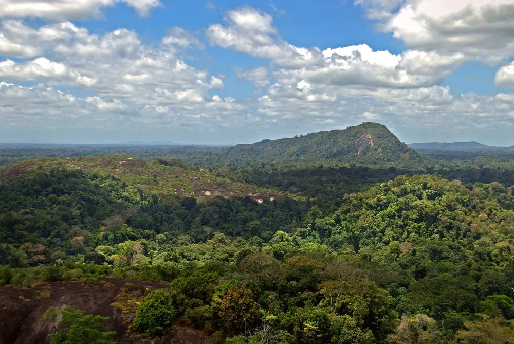 Central Suriname Nature Reserve