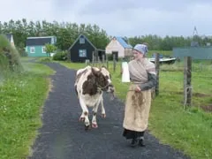 Árbæjarsafn