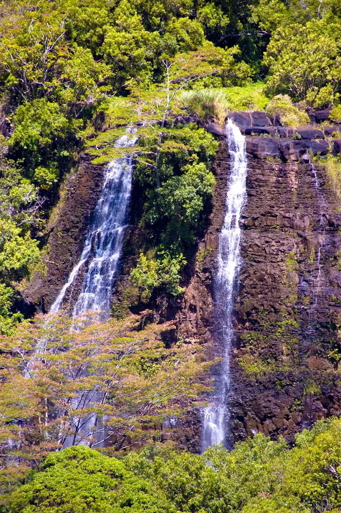 'Opaeka'a Falls