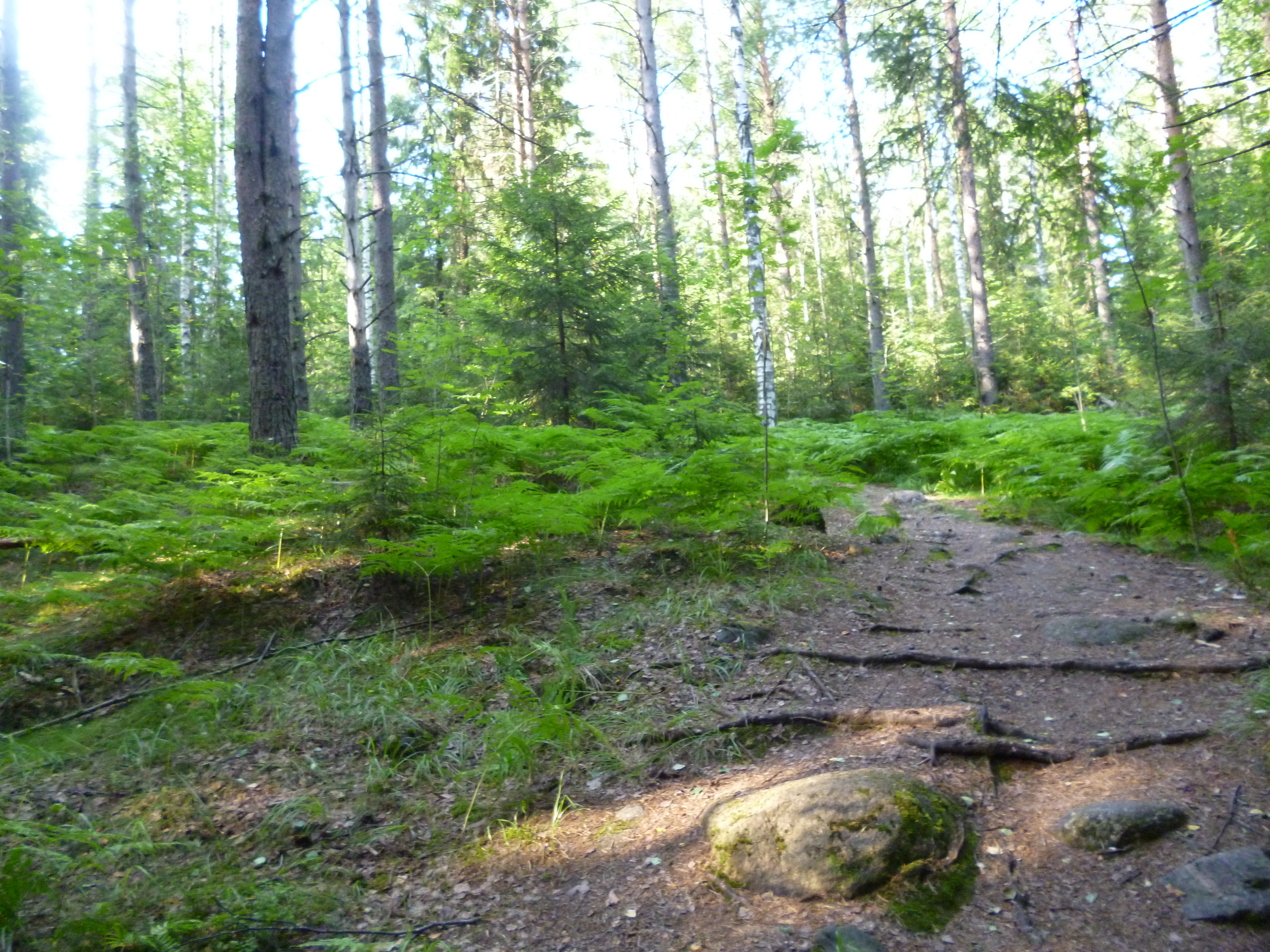 Nikkilä, Finland