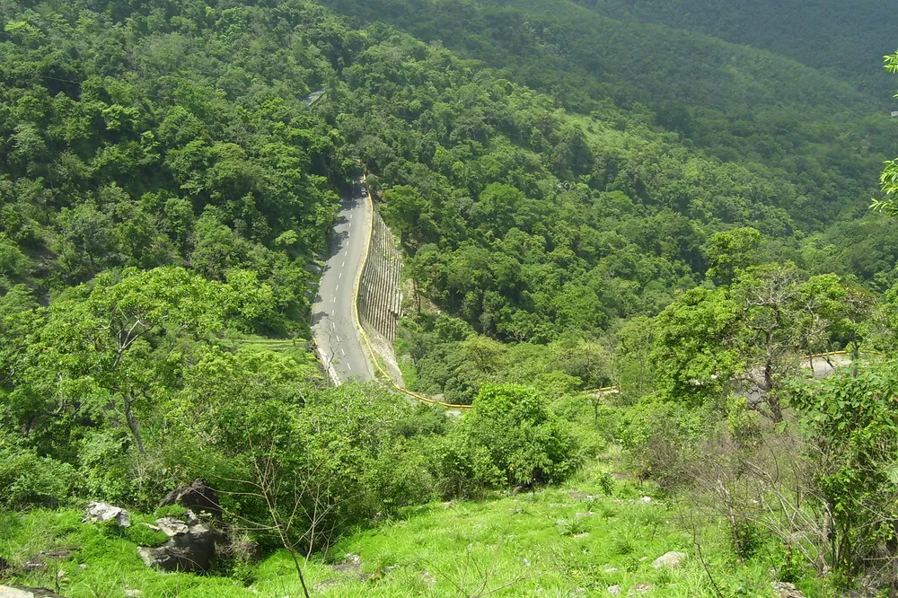 Thamarassery, India
