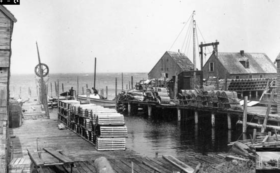 Wood Island