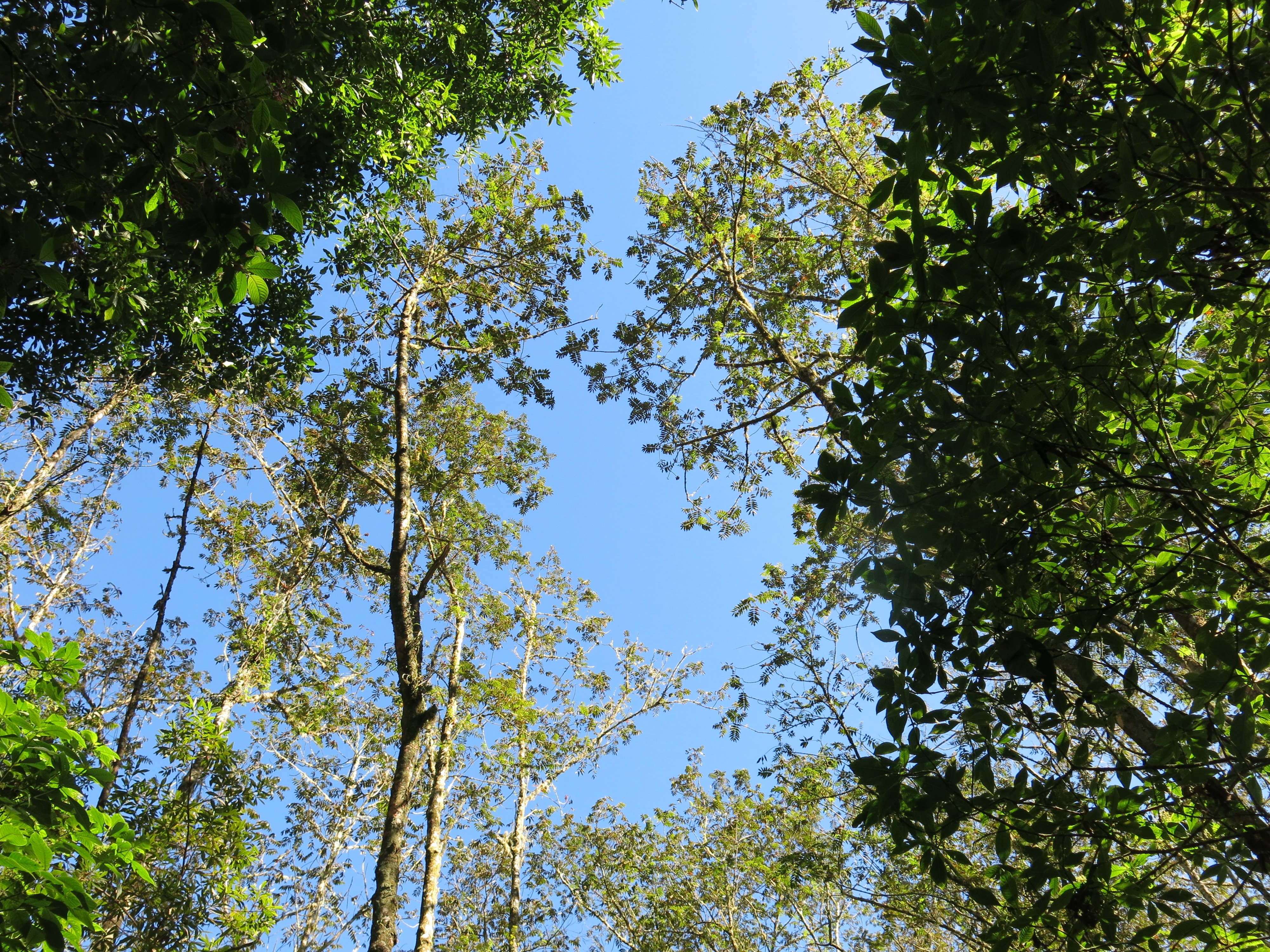 Sierra de Bahoruco National Park