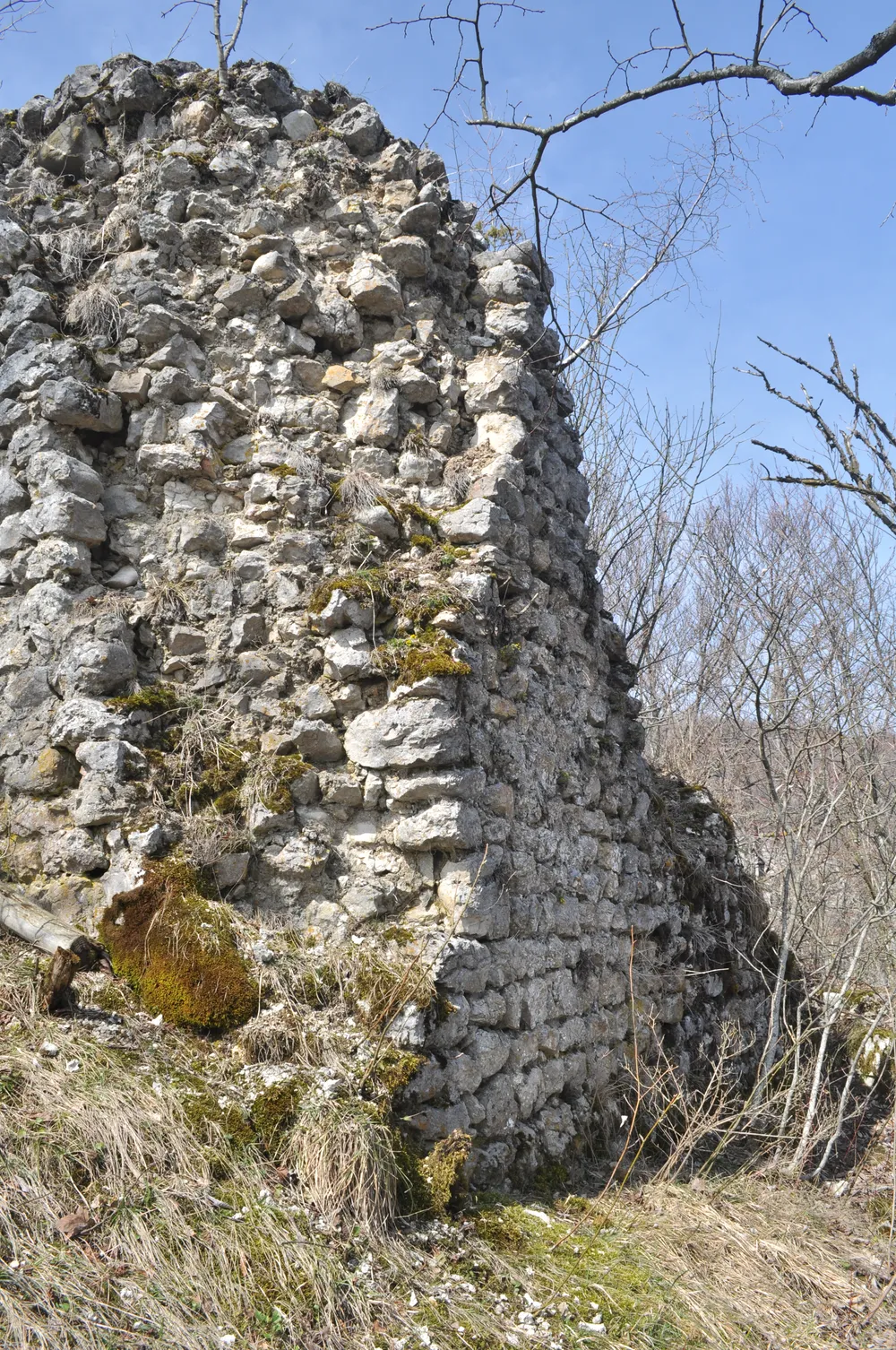Château de château-Vieux