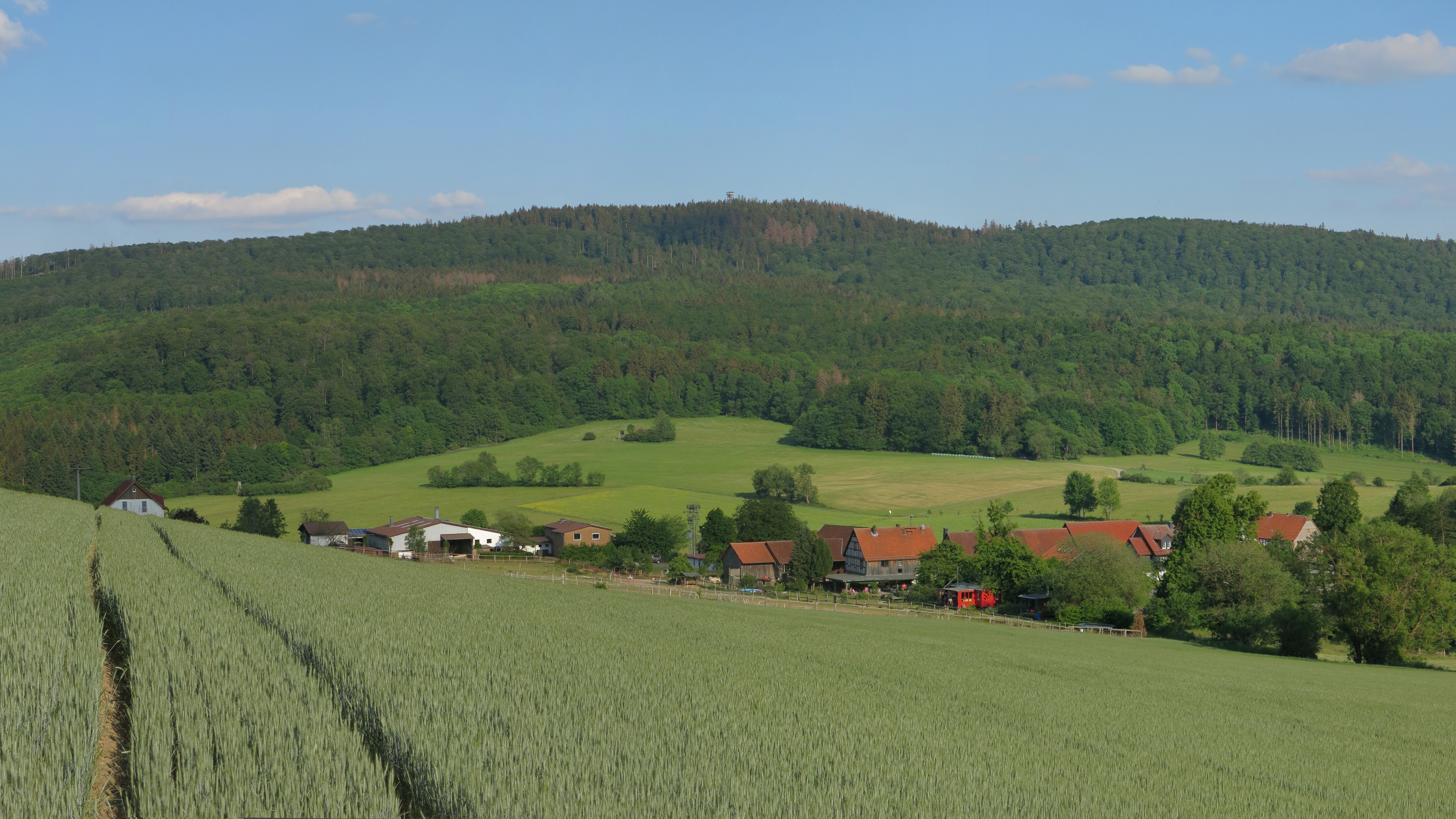 Wüstegarten