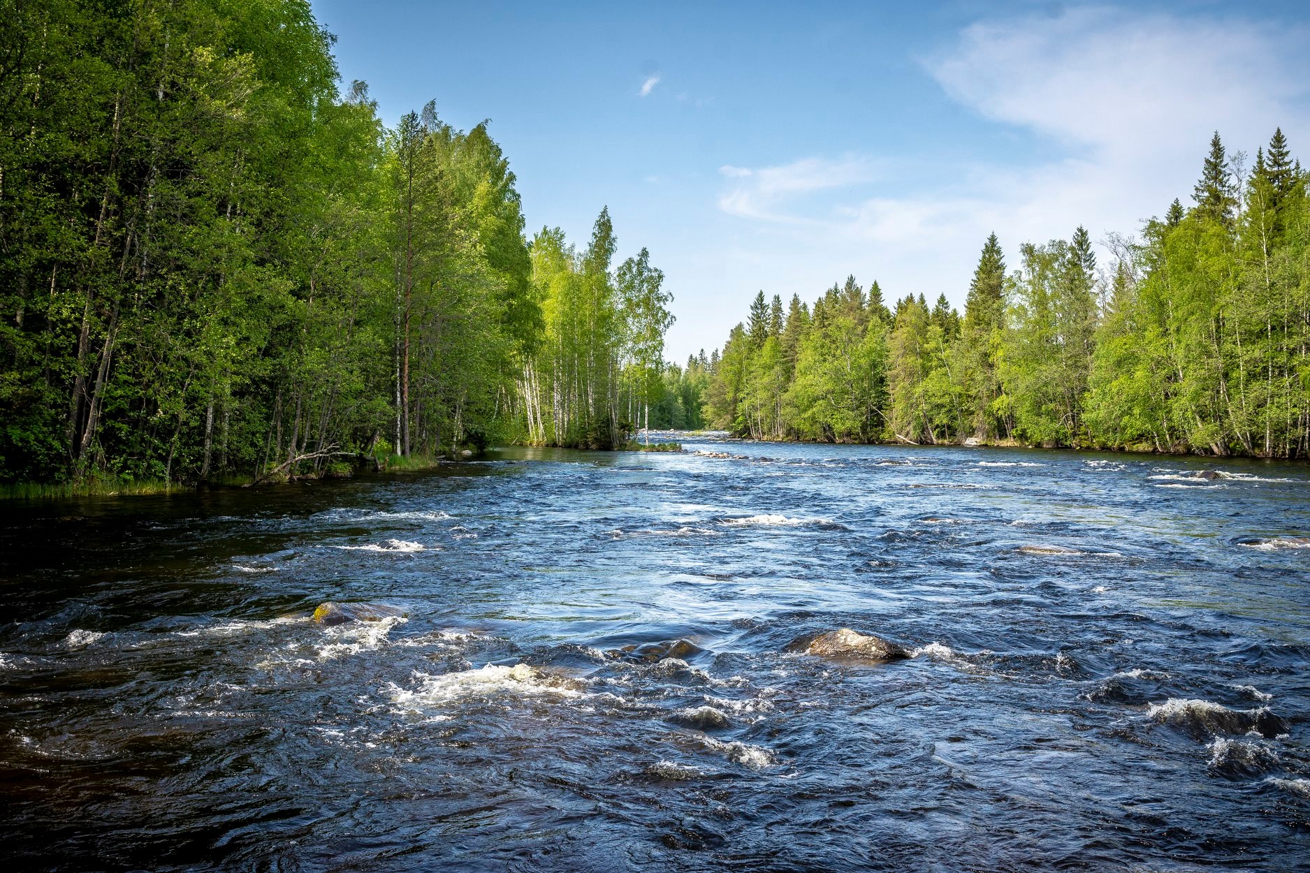 Konnevesi, Finland