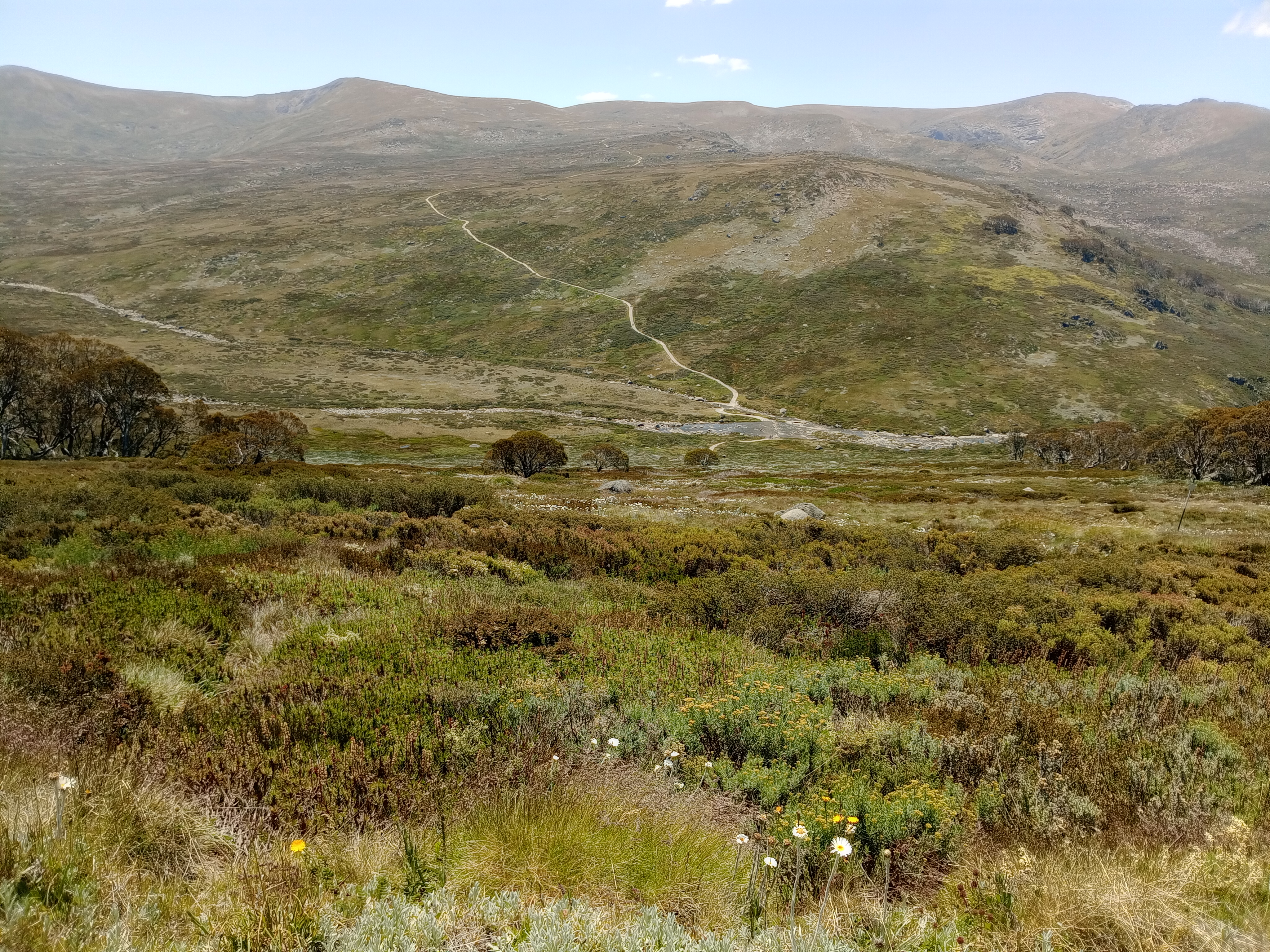 Kosciuszko National Park