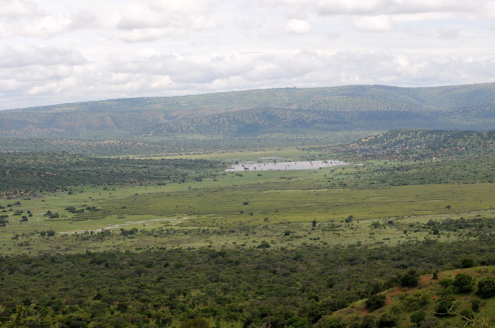 Akagera National Park