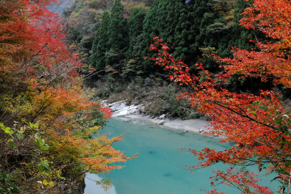 Miyoshi, Japan