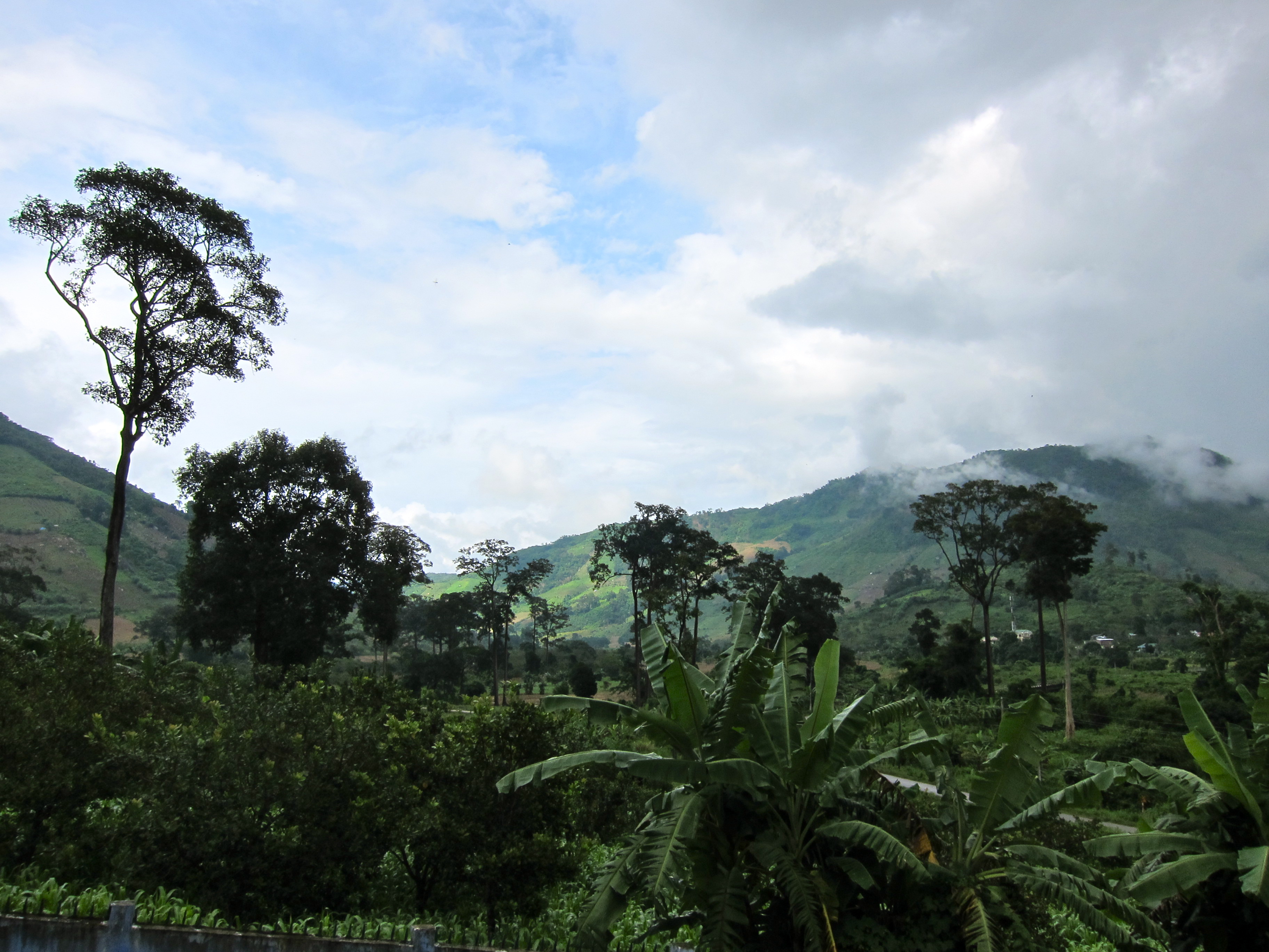 Phuoc Binh National Park