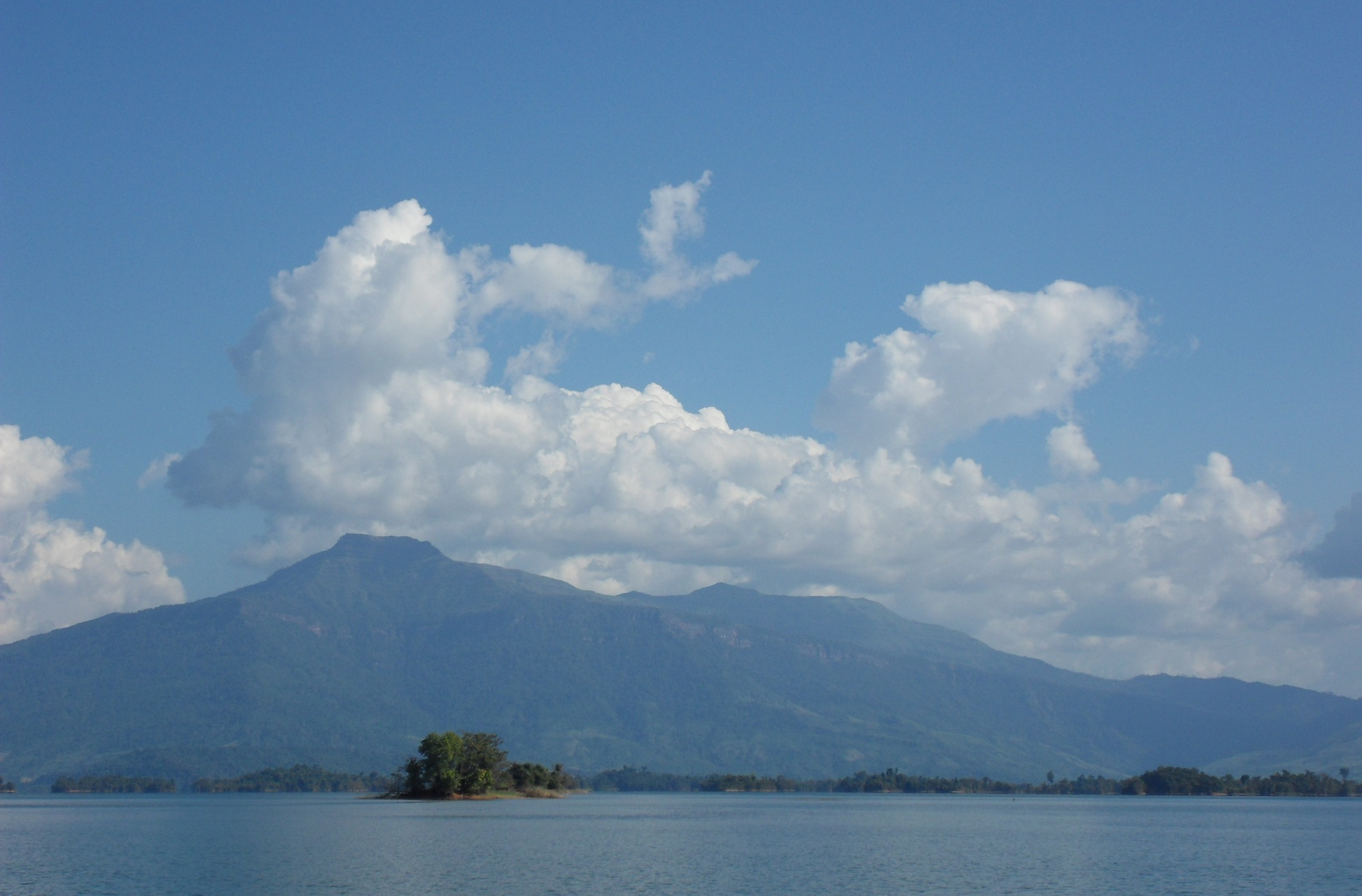 Phou Bia
