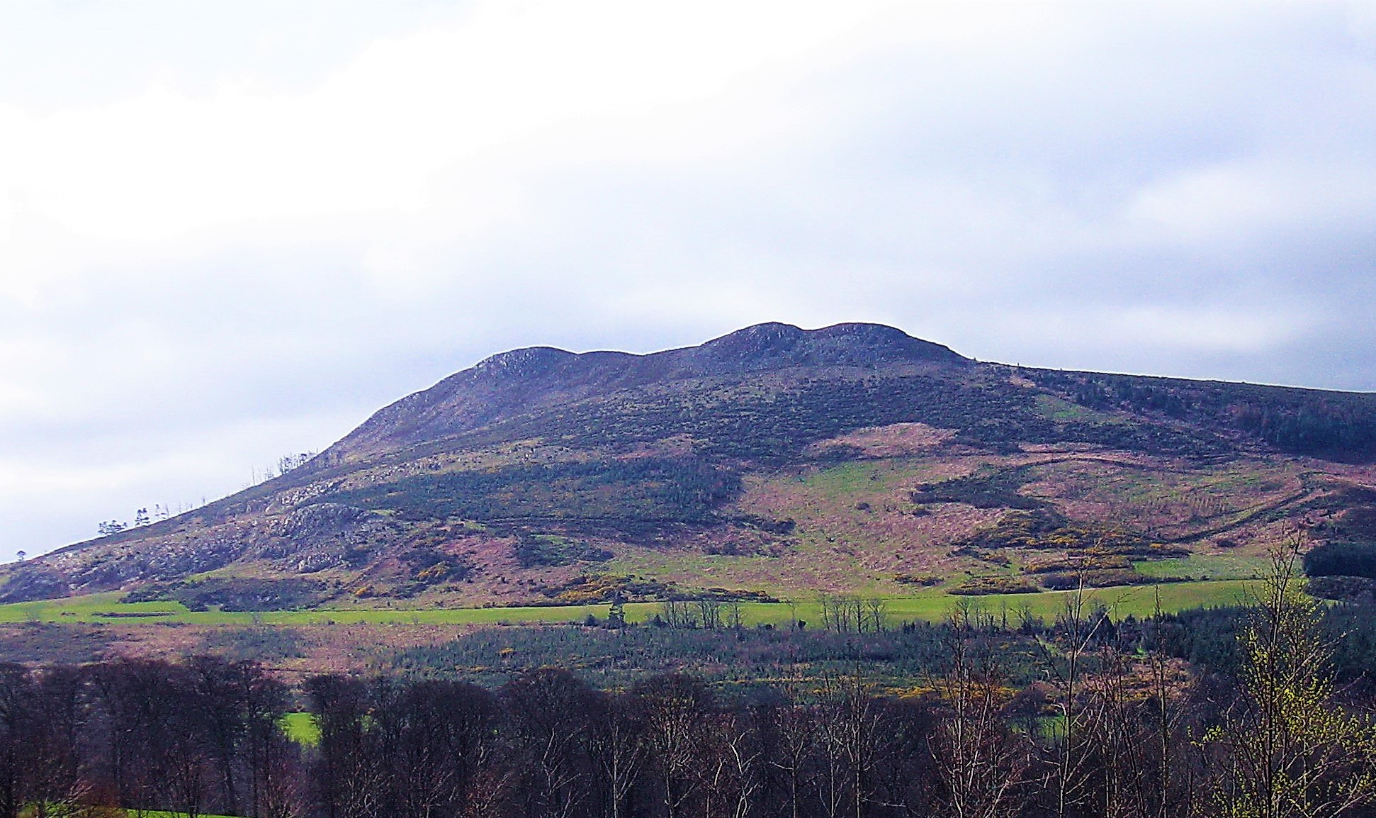 Little Sugar Loaf