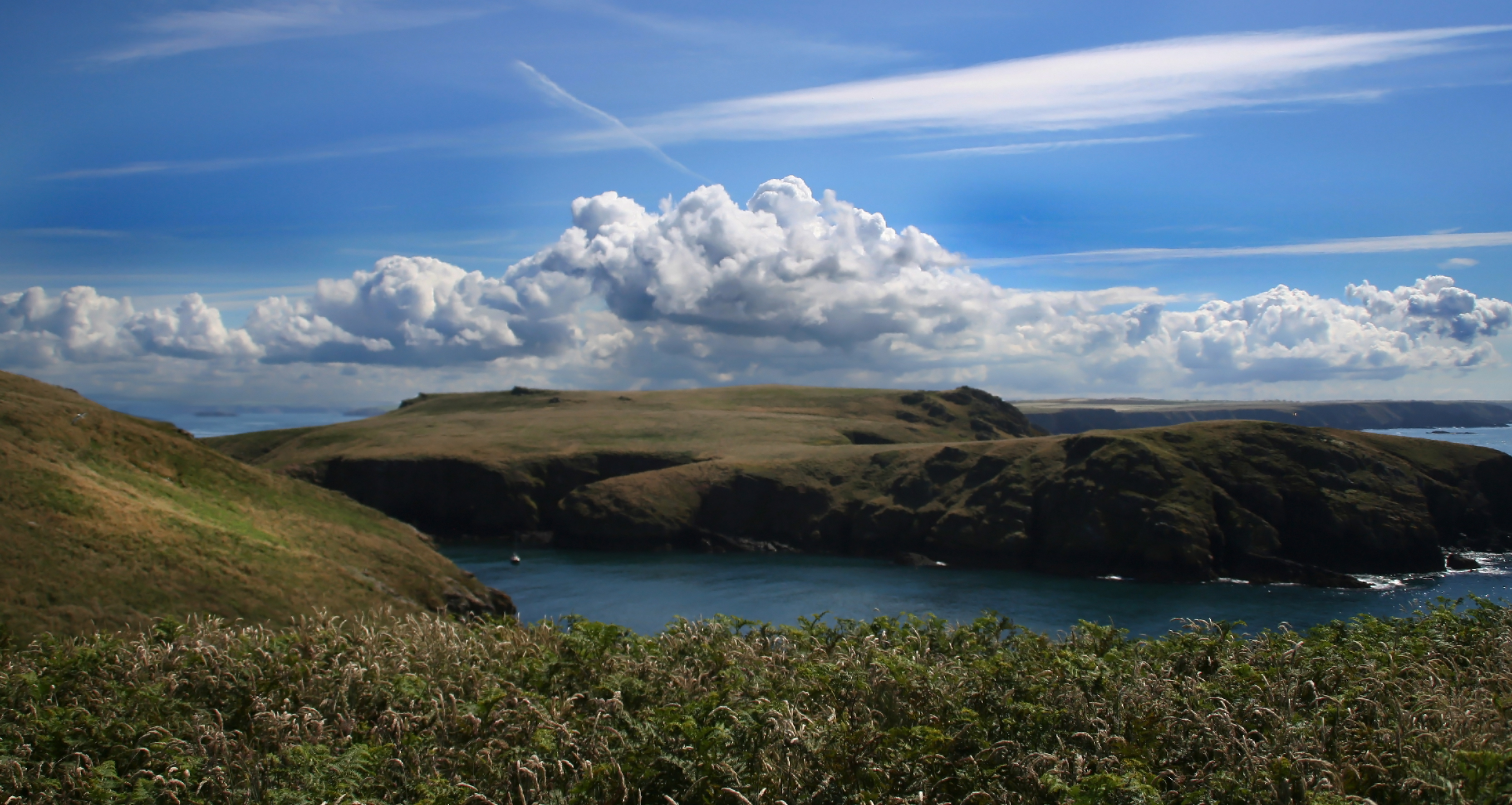 Skomer Island, United Kingdom