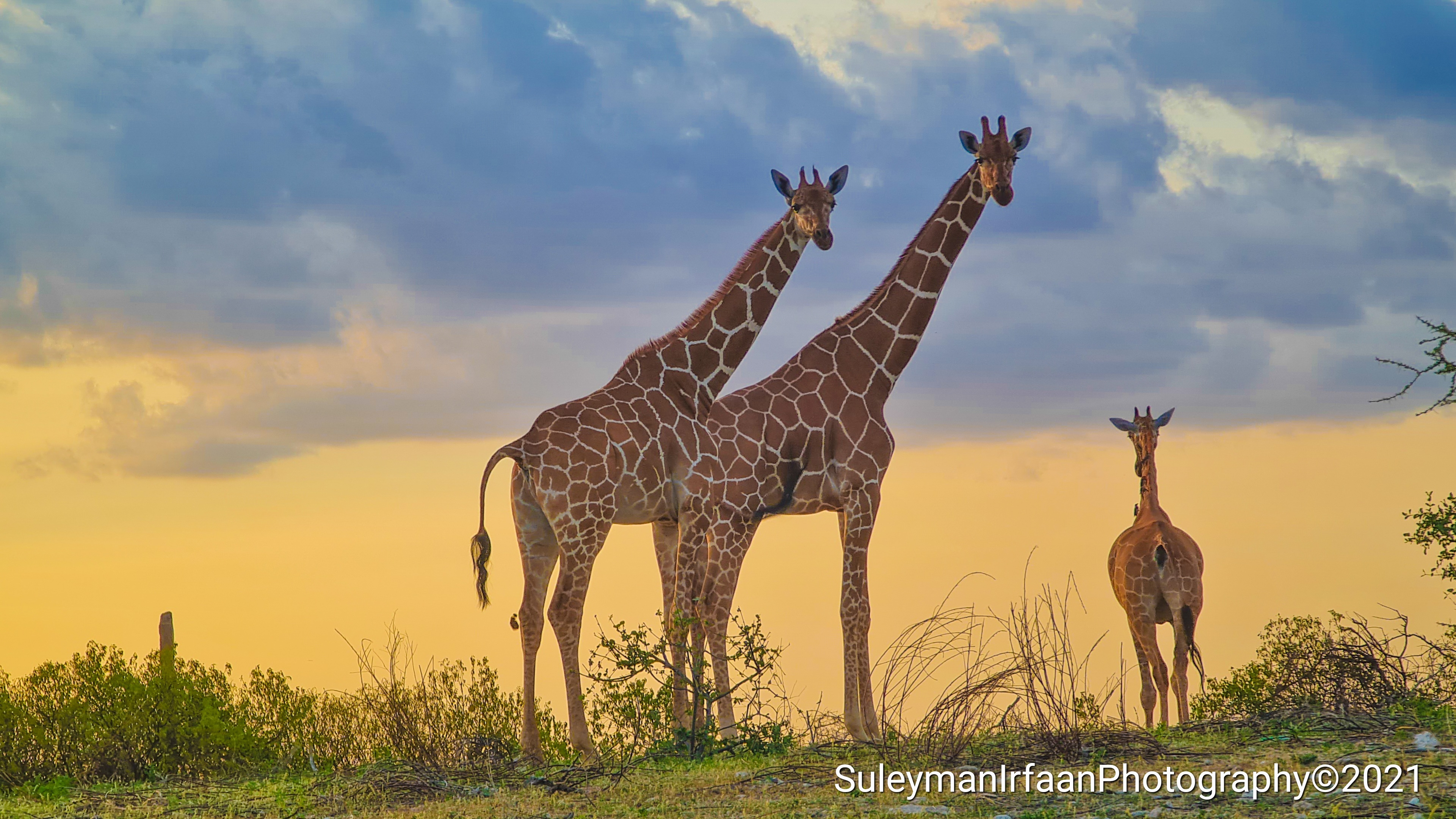 Wajir, Kenya