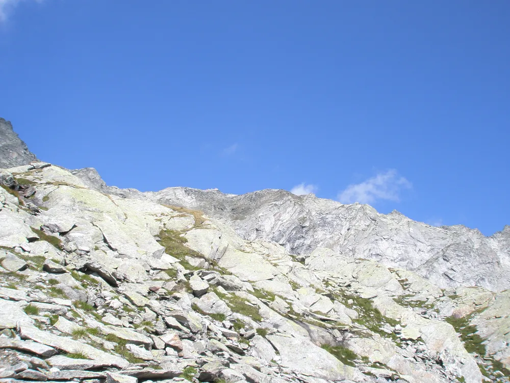 Glockenkarkopf