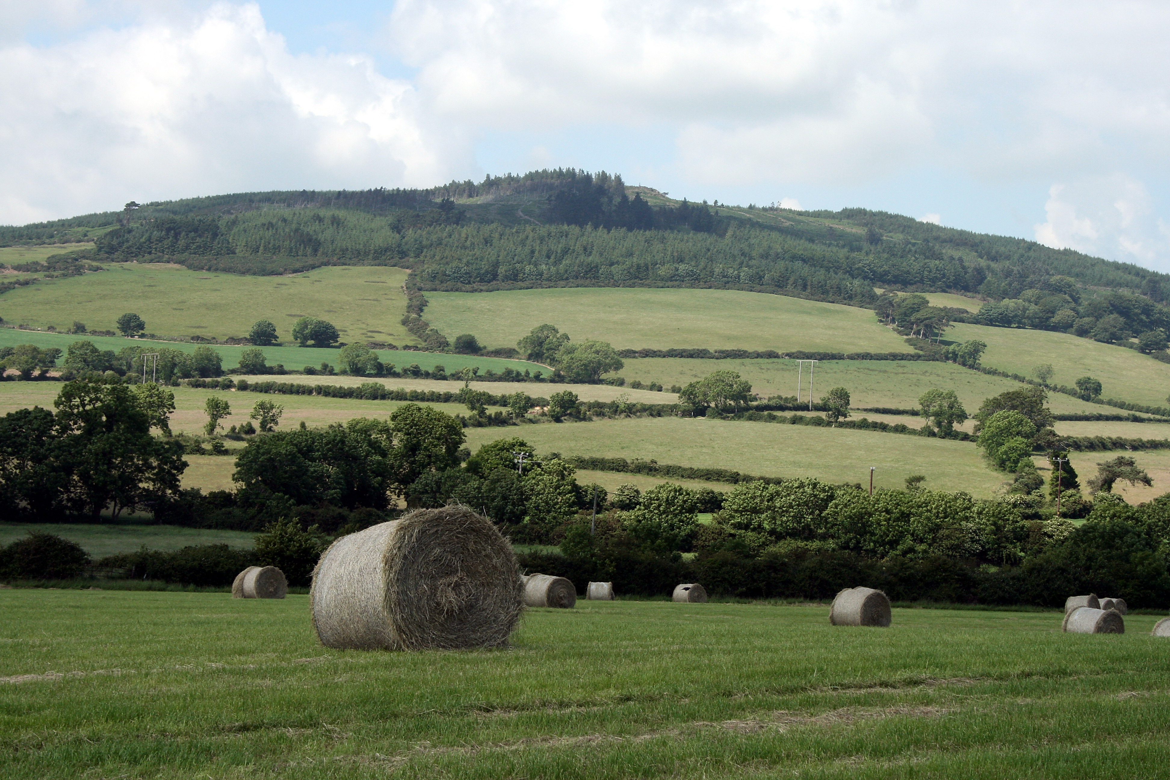 Arklow Hill