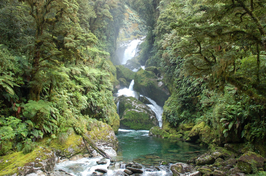 Milford Track