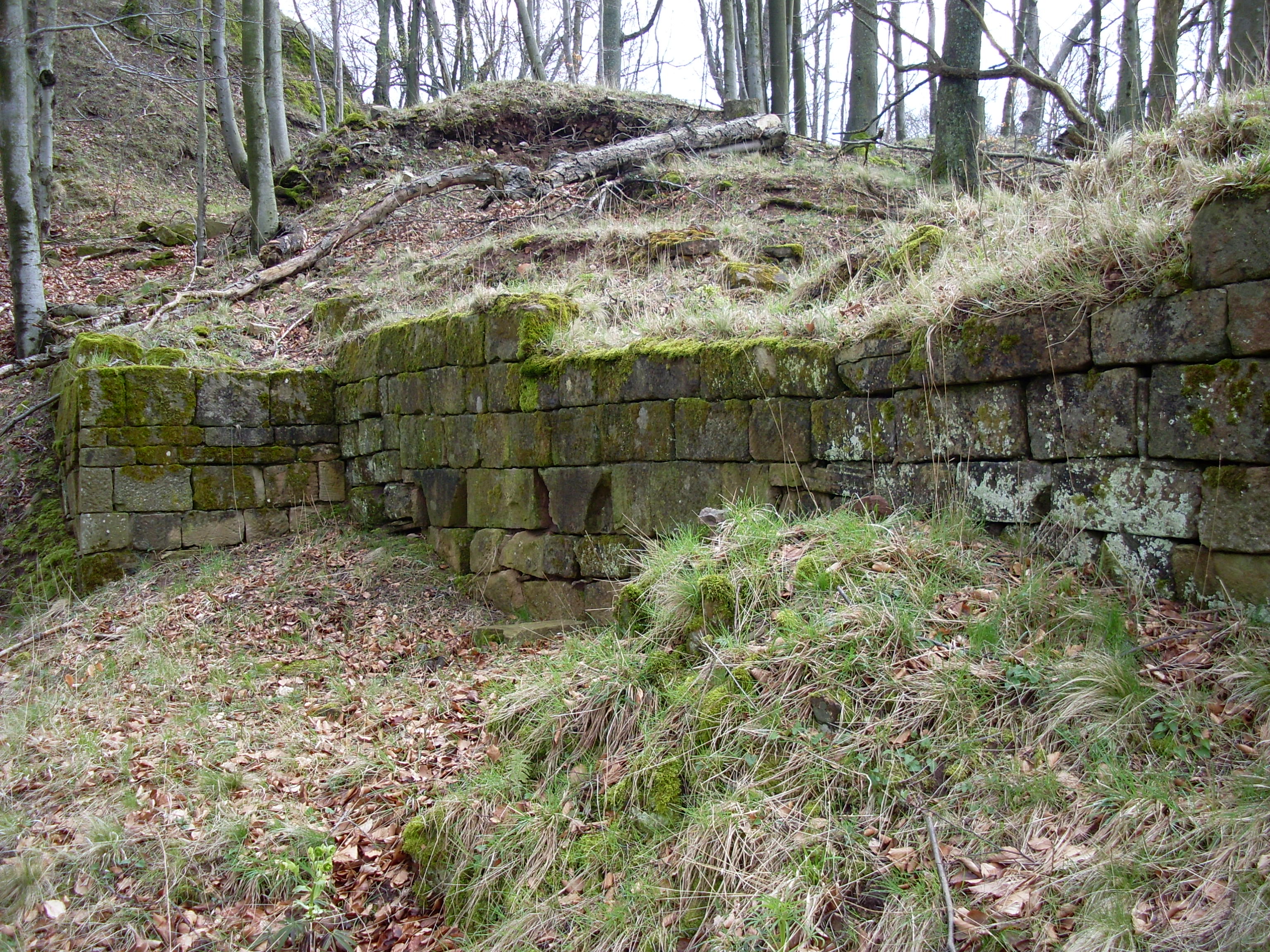 Hohenfels Castle