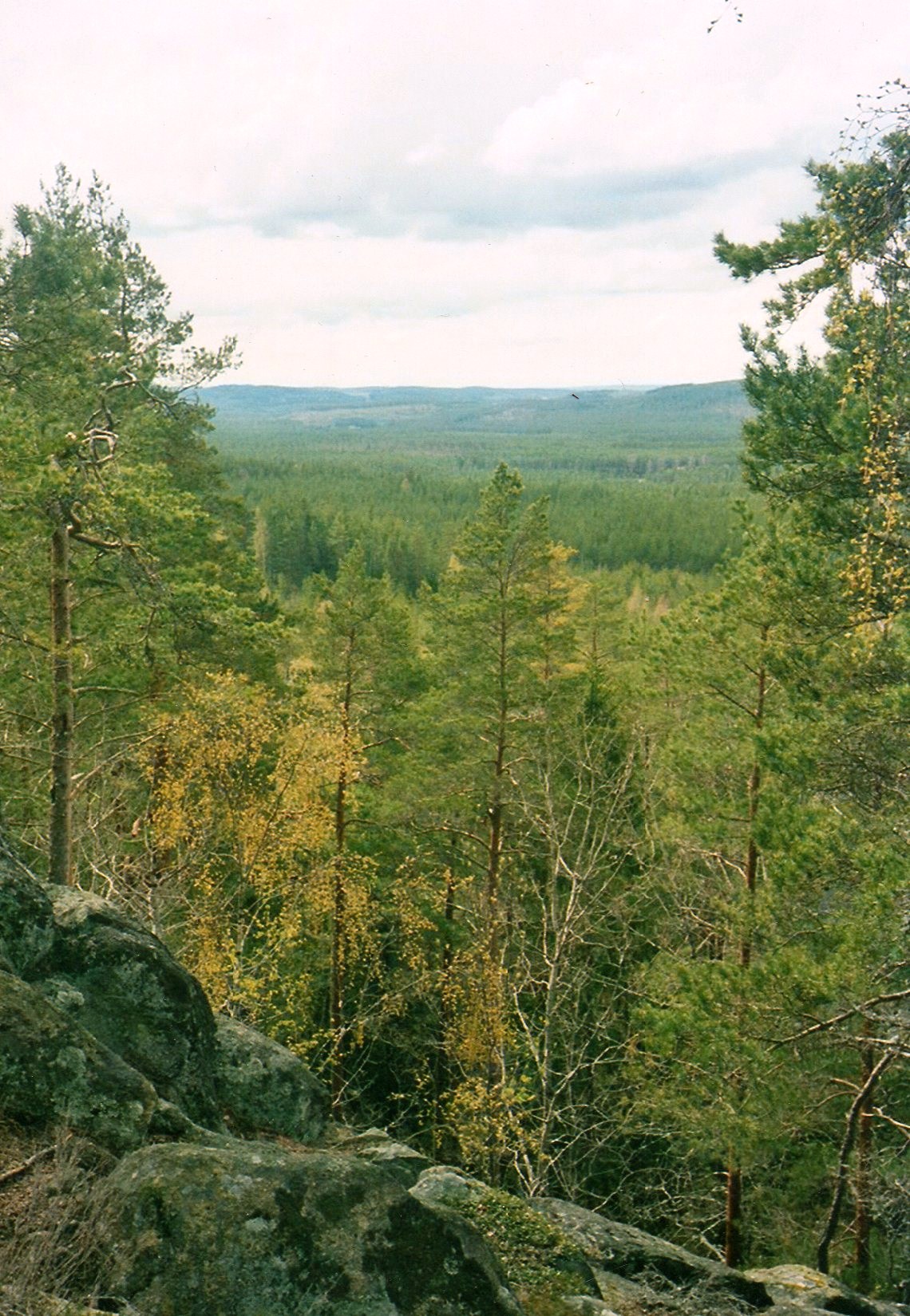 Norra Kvill National Park