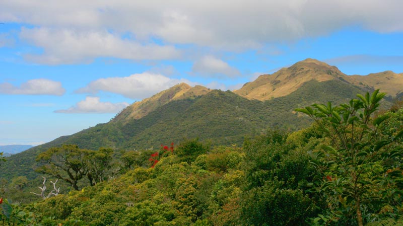 Mount Pulag, Philippines