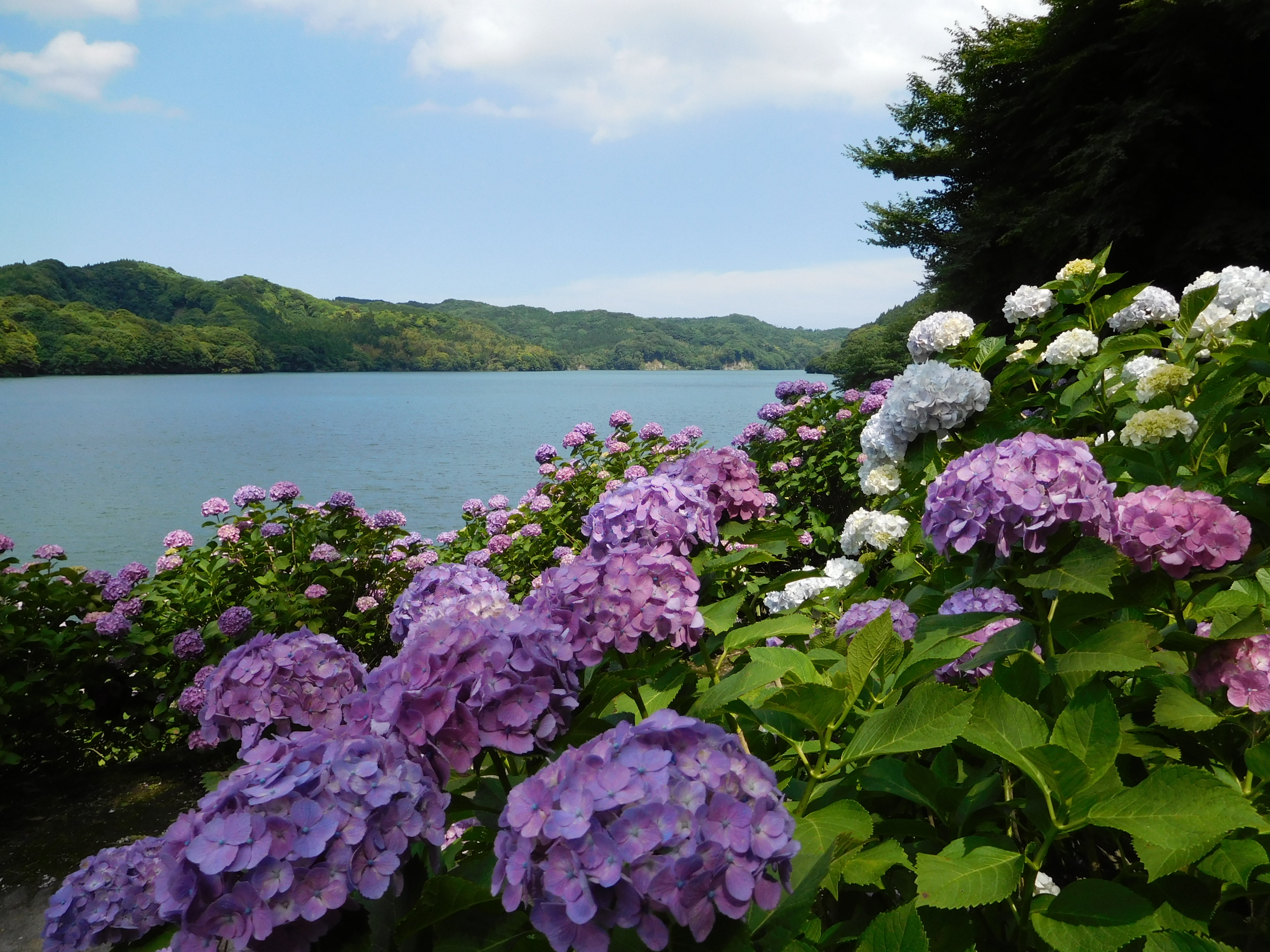 Kanoya, Japan