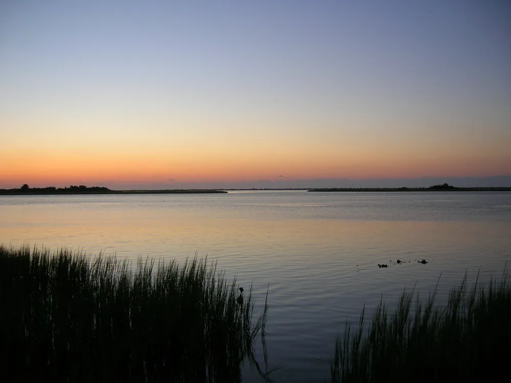 Masonboro Island