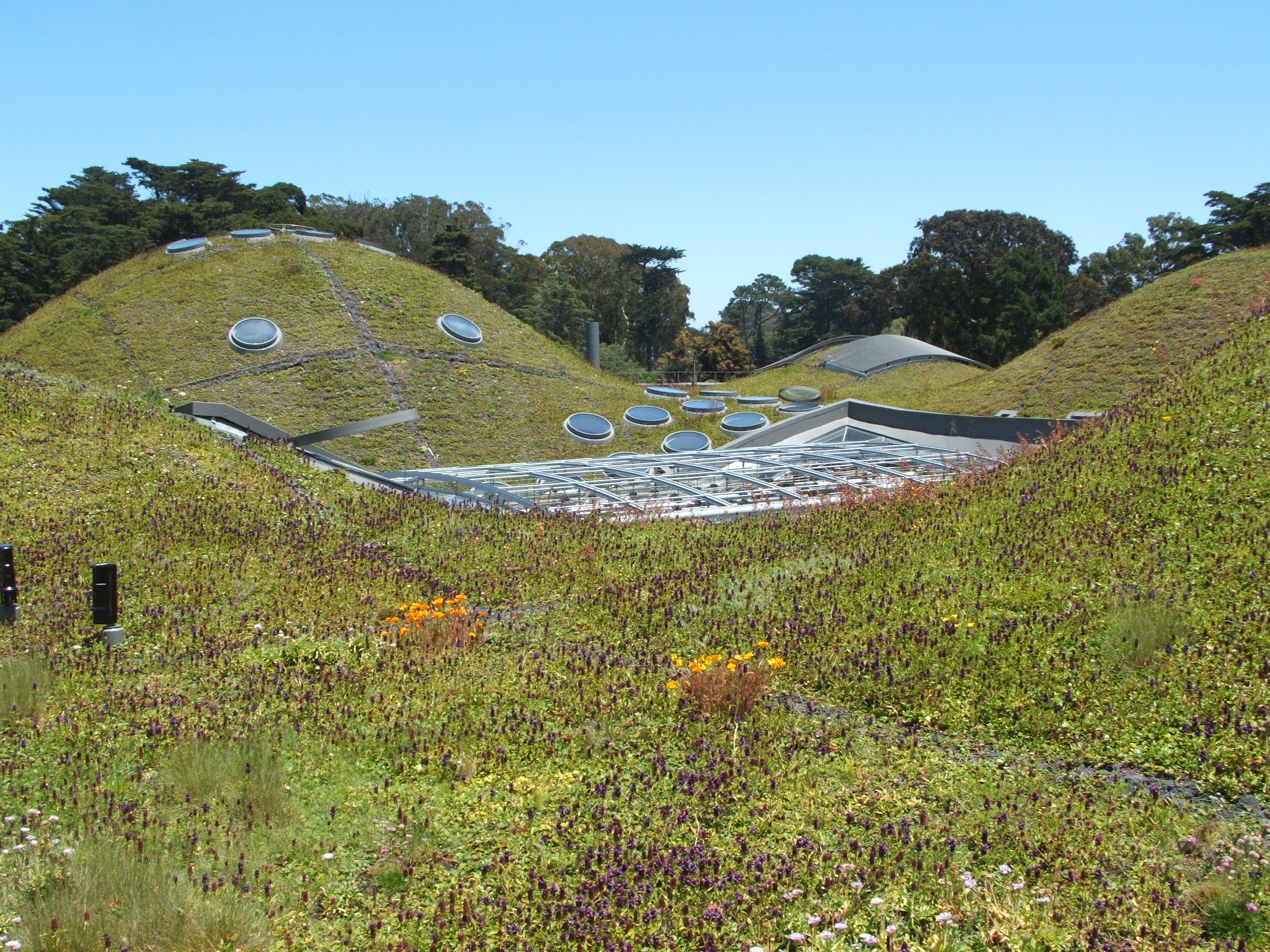 Golden Gate Park, United States