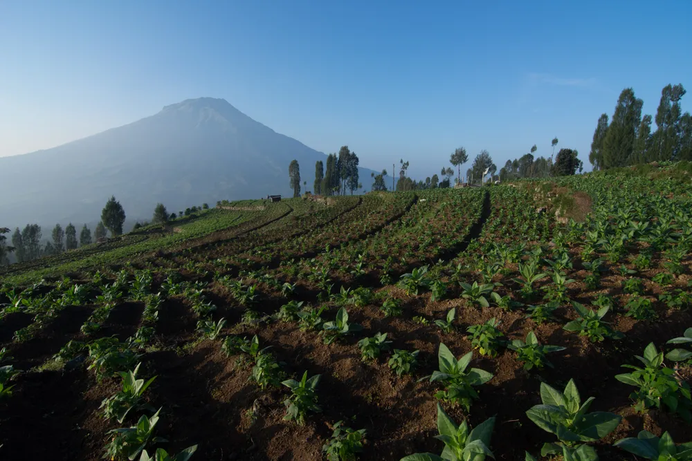 Temanggung, Indonesia