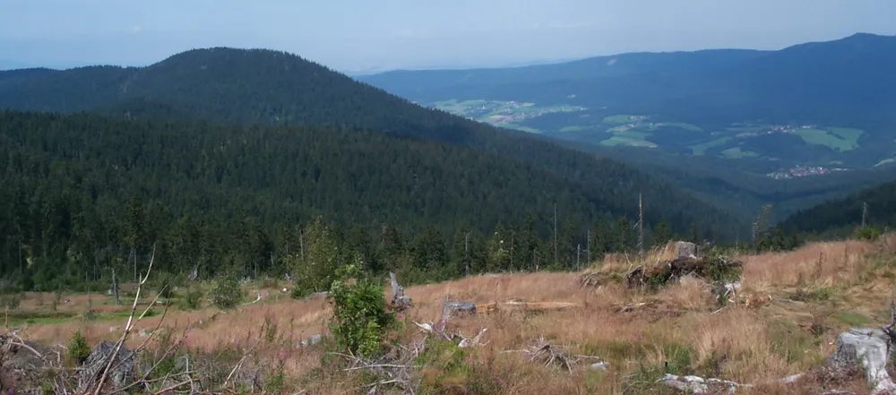 Schwarzeck