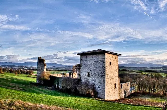 Tower-palace of Guevara