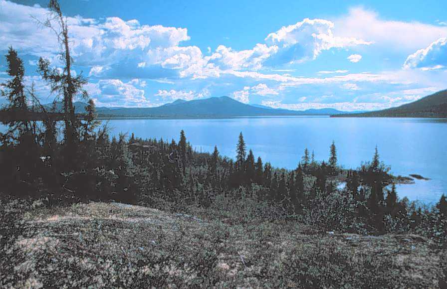 Walker Lake