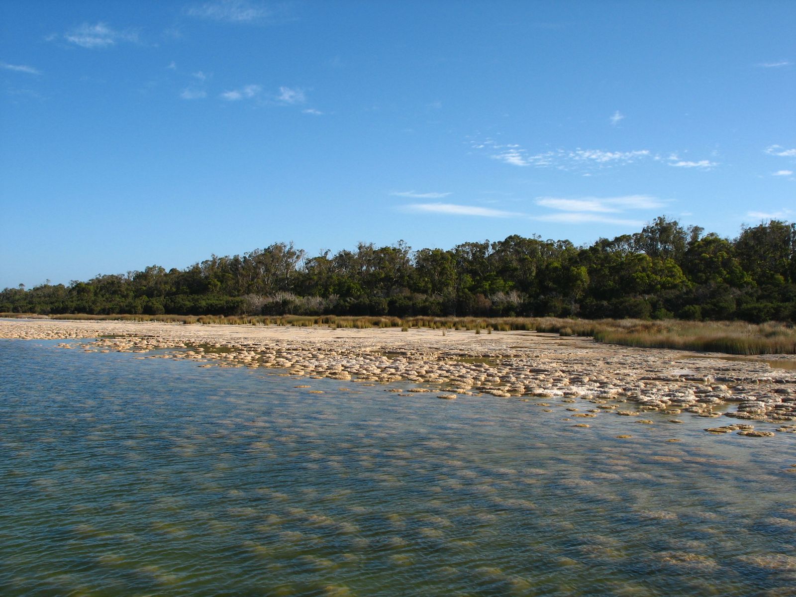 Yalgorup National Park