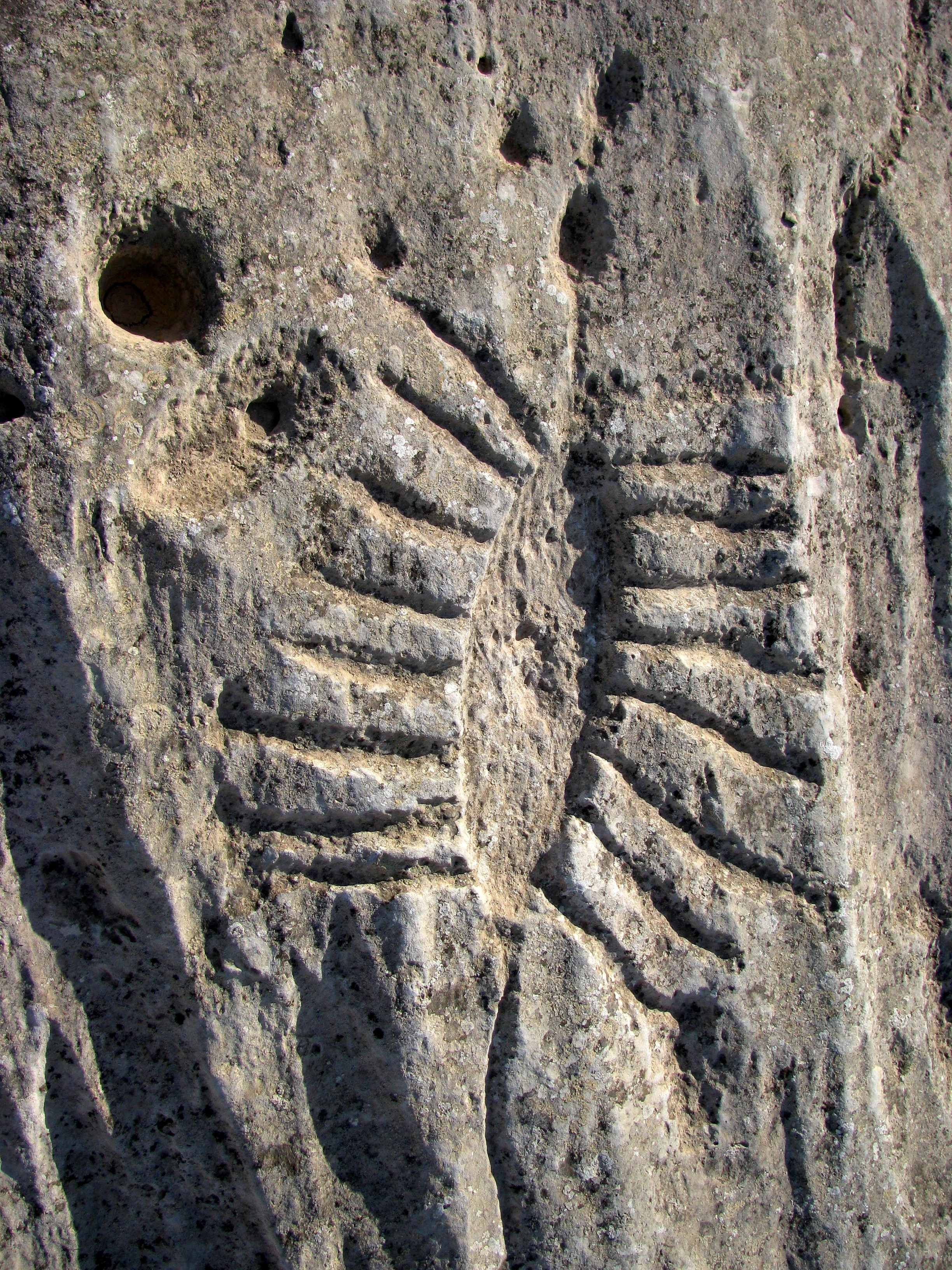 Al Shamal, Qatar