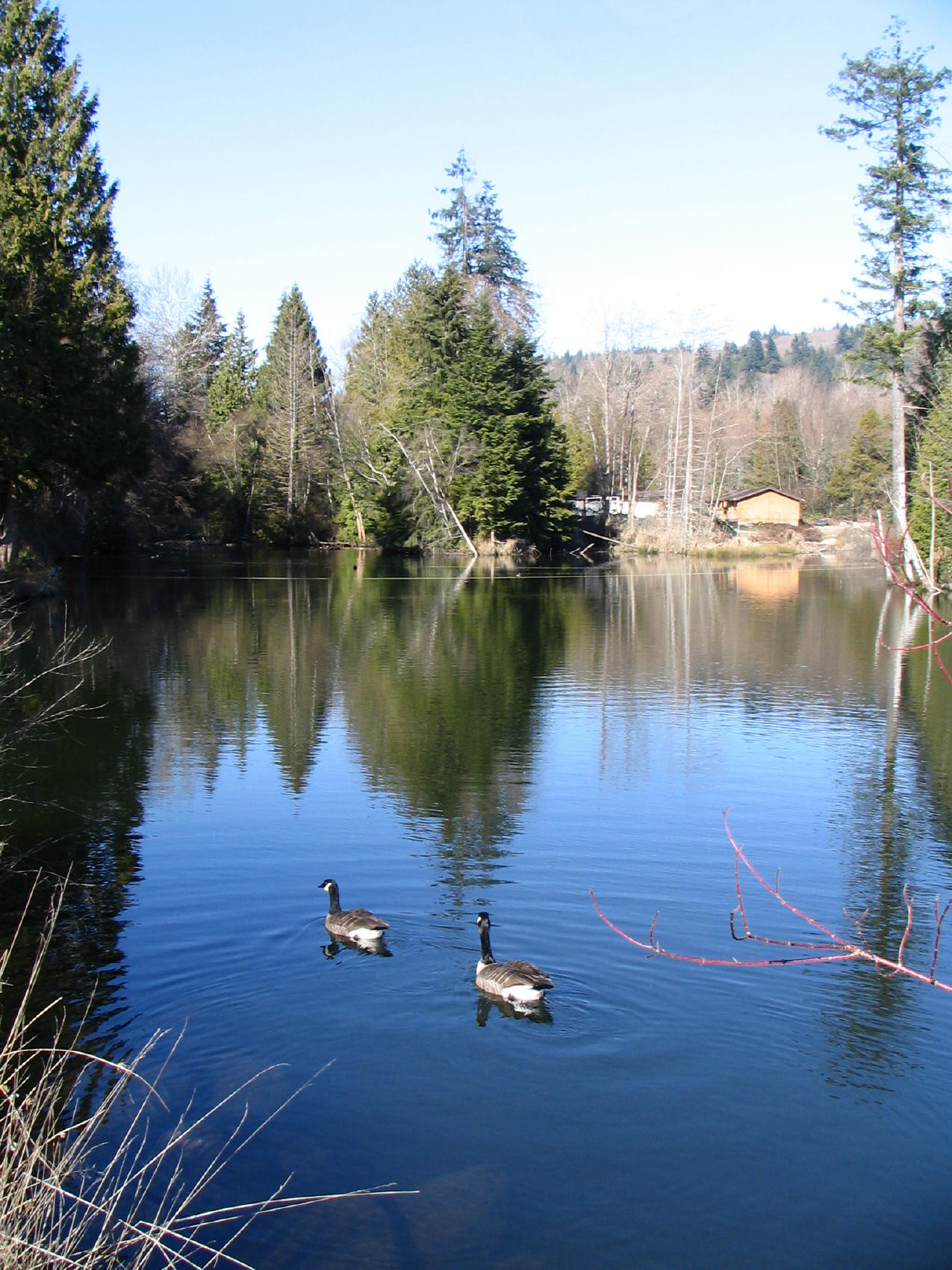 Squint Lake
