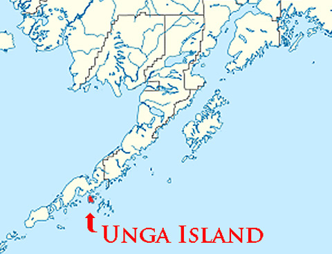 Unga Island